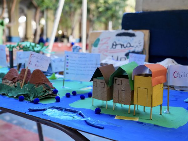 Estudiantes trabajando en un proyecto de ciencias
