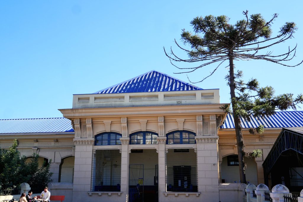 Frontis del edificio patrimonial de la escuela, con su techumbre azul y la araucaria del patio
