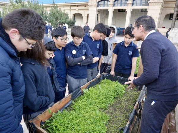 Estudiantes trabajando en un proyecto de ciencias