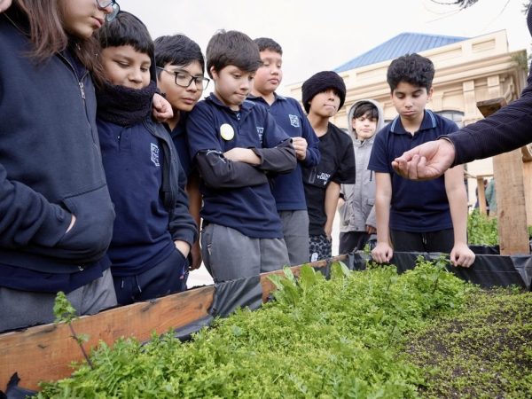 Estudiantes trabajando en un proyecto de ciencias